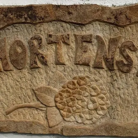 Les Hortensias